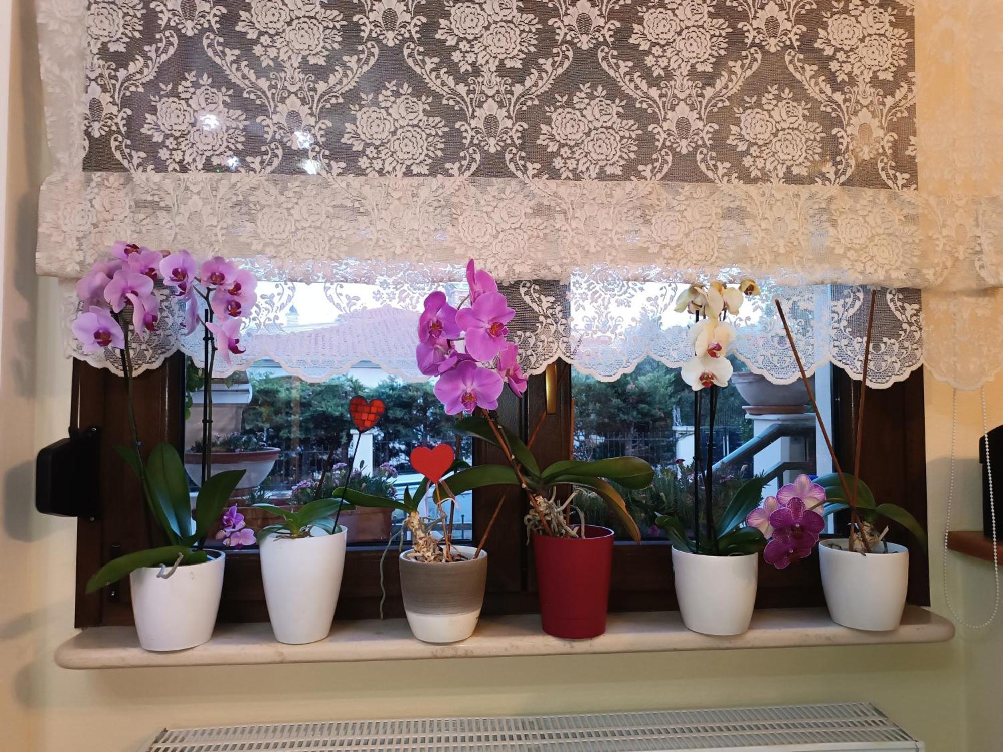 הוילה אלכסנדרופולי Family House מראה חיצוני תמונה